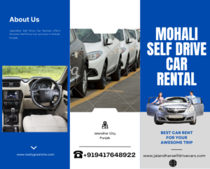 Self Drive Car in Mohali